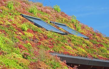 Wigthorpe living roof systems