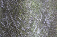 Wigthorpe fibreglass roof work